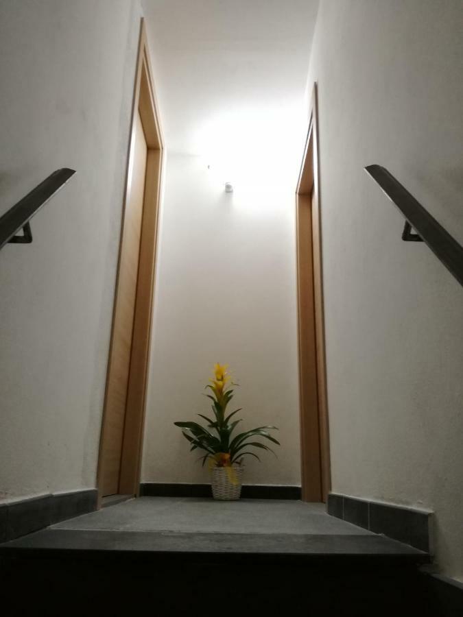 מלון נאפולי Domus 19 מראה חיצוני תמונה